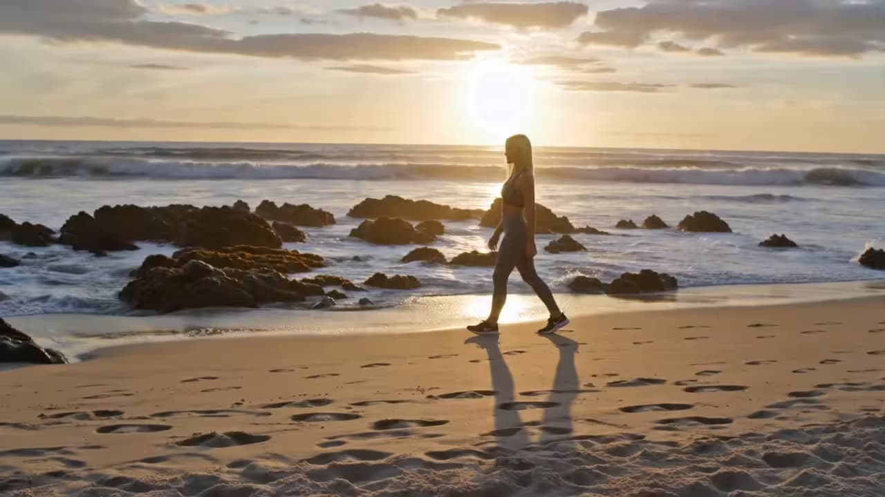 omni-reference-train-character